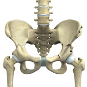 Hip Preservation Surgery